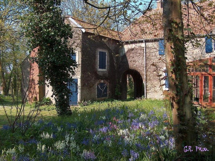 Fonds d'cran Nature Parcs - Jardins un ecrin de verdure