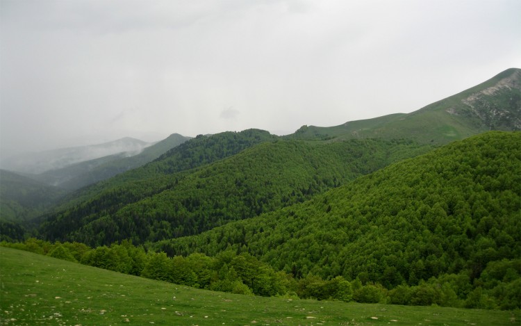 Wallpapers Nature Trees - Forests Fort du pays basque