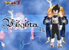 Fonds d'cran Manga vegeta