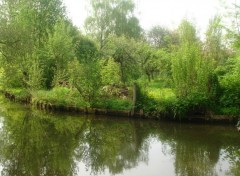 Fonds d'cran Nature Hortillonnages