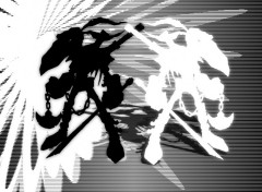 Wallpapers Digital Art ninja corbeau : B&W