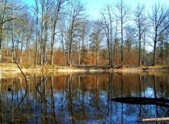 Fonds d'cran Nature MARE AUX EVEE