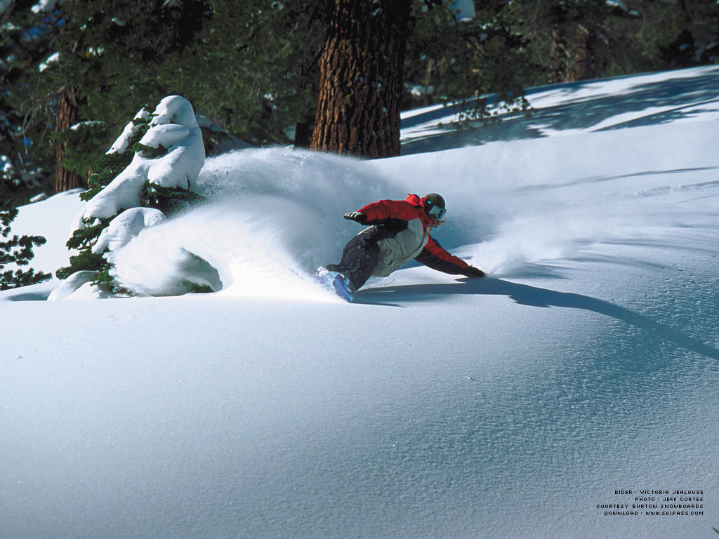 Wallpapers Sports - Leisures Snowboard freeride dans les arbres