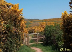 Fonds d'cran Nature Randonne...