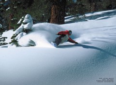 Wallpapers Sports - Leisures freeride dans les arbres