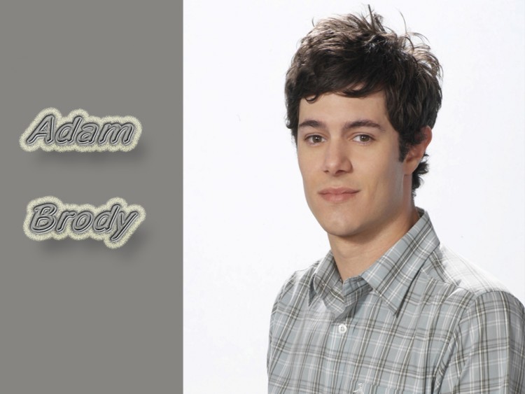 Fonds d'cran Clbrits Homme Adam Brody Wallpaper N138601