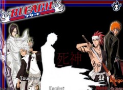 Wallpapers Manga Bleach Team