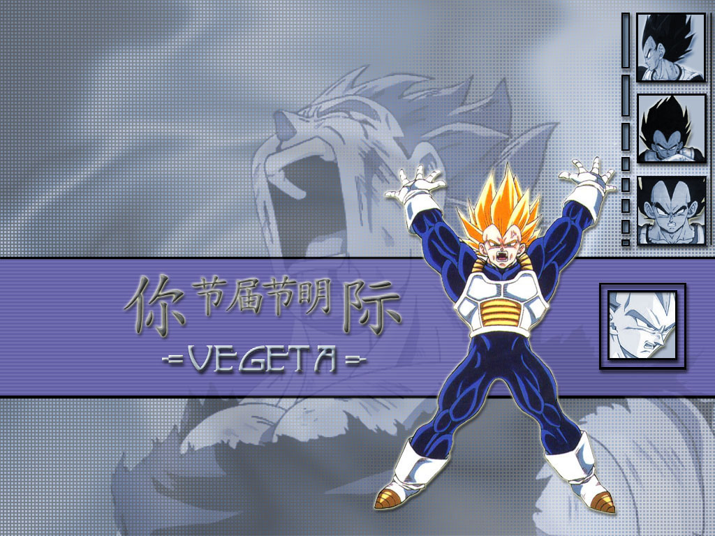 Fonds d'cran Manga Dragon Ball Z vegeta