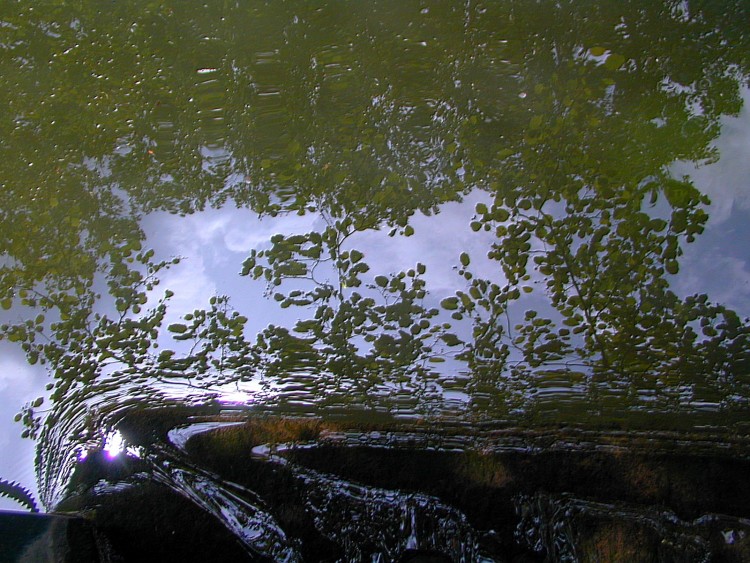 Wallpapers Nature Water - Reflection Reflets