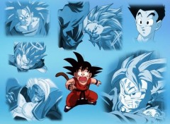 Fonds d'cran Manga goku