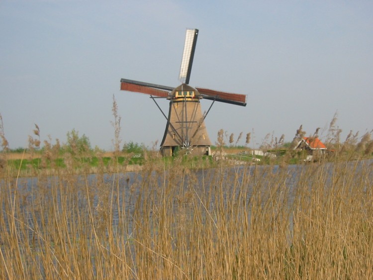 Fonds d'cran Constructions et architecture Moulins - Eoliennes Moulin  Kinderdjik (Hollande) (2)