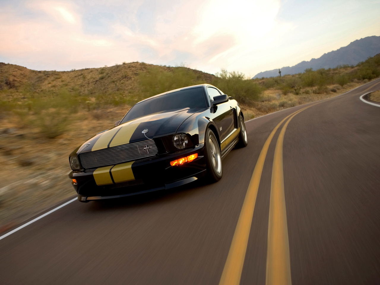 Wallpapers Cars Shelby La Mustang Shelby 350 H (H comme Hertz pour les locations de voitures)