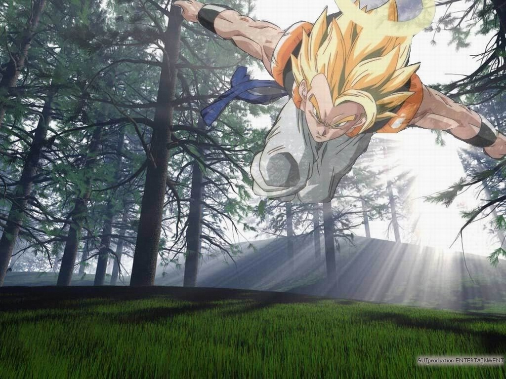 Fonds d'cran Manga Dragon Ball Z Gogeta