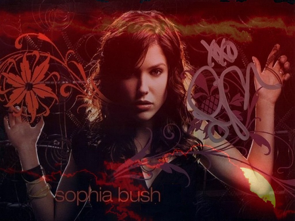 Wallpapers Celebrities Women Sophia Bush Sophia