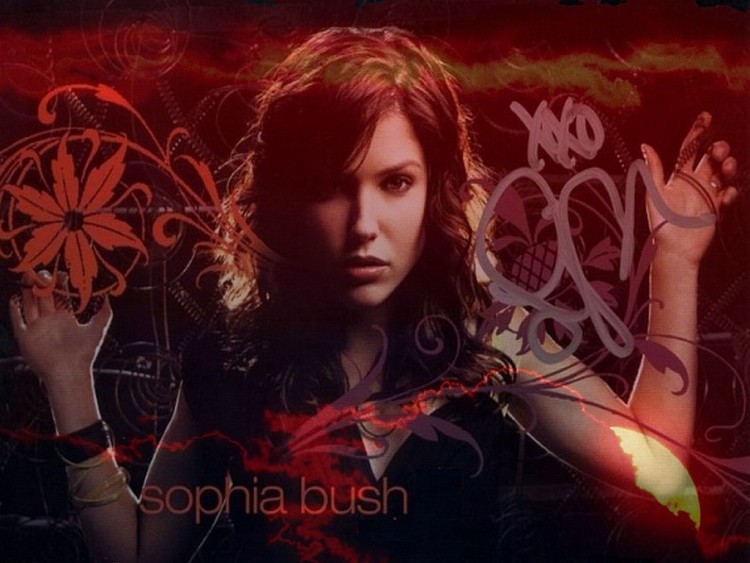 Wallpapers Celebrities Women Sophia Bush Sophia