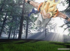 Fonds d'cran Manga Gogeta