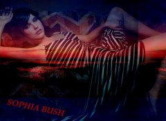 Wallpapers Celebrities Women Sophia Bush