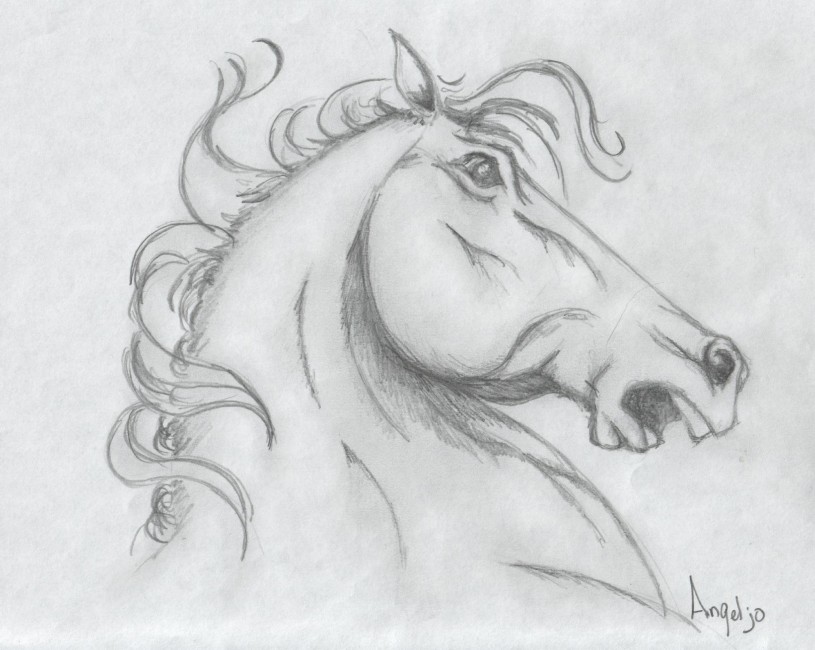 Wallpapers Art - Pencil Animals - Horses 