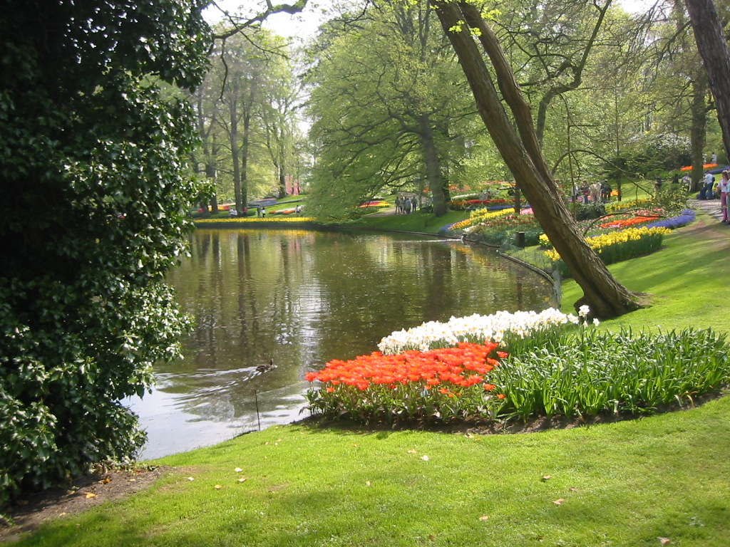 Fonds d'cran Nature Parcs - Jardins Parc floral  Keukenhof (Hollande) (2)