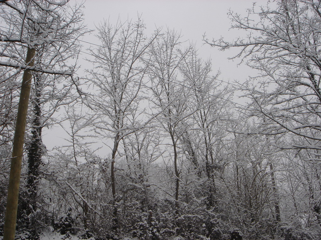 Fonds d'cran Nature Saisons - Hiver LEMBRAS