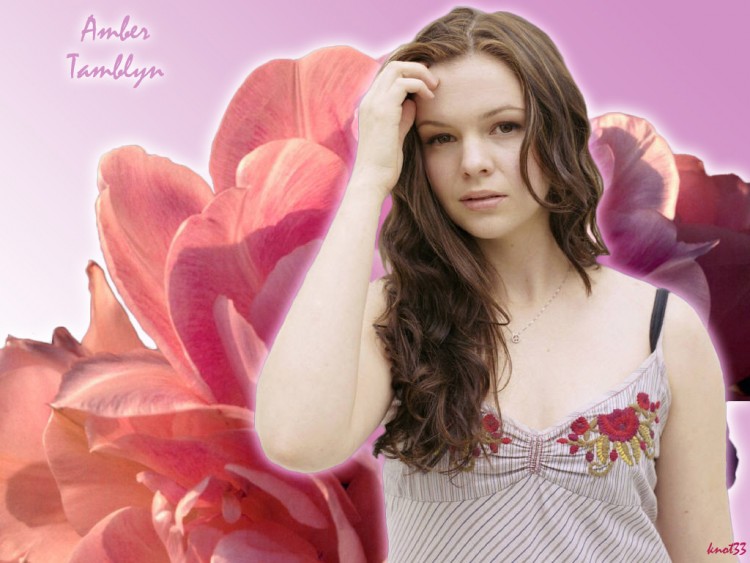 Fonds d'cran Clbrits Femme Amber Tamblyn Wallpaper N139268