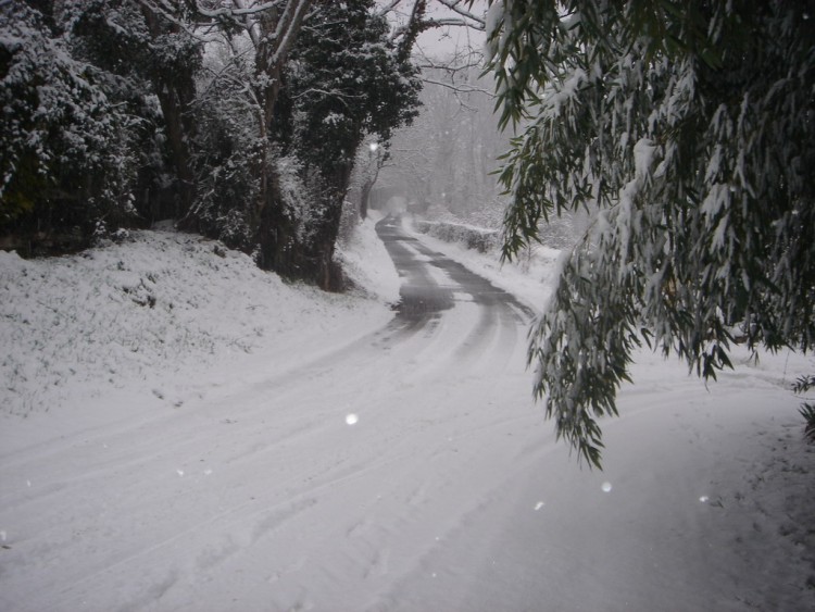 Fonds d'cran Nature Saisons - Hiver LEMBRAS