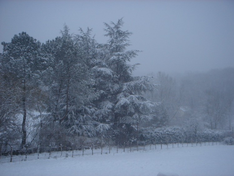 Fonds d'cran Nature Saisons - Hiver LEMBRAS