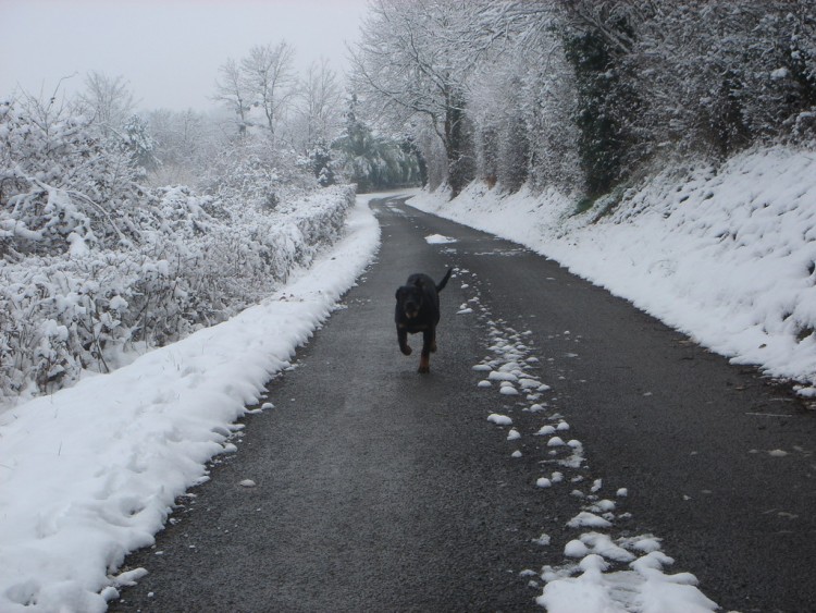 Fonds d'cran Nature Saisons - Hiver LEMBRAS sous la neige