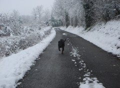 Fonds d'cran Nature LEMBRAS sous la neige