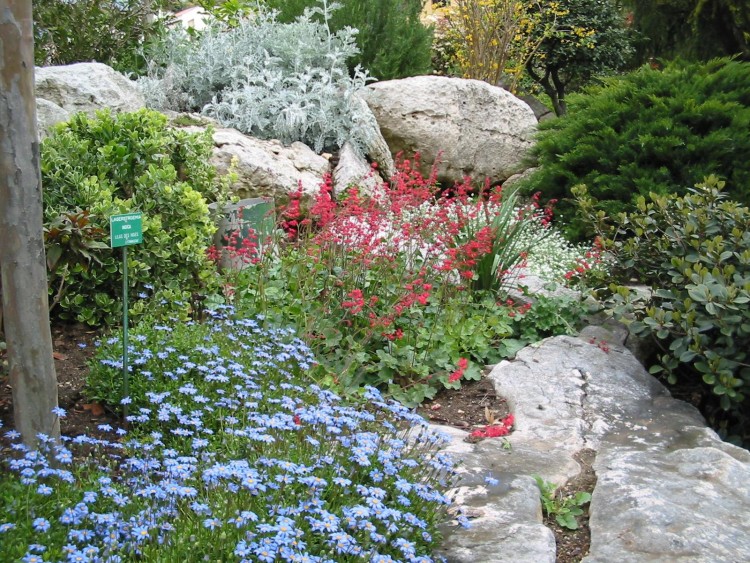 Fonds d'cran Nature Fleurs Parterre de fleurs