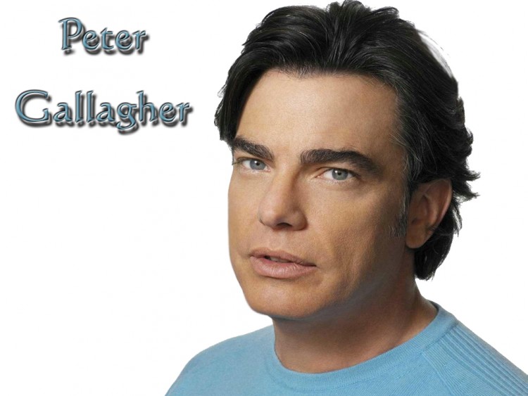 Fonds d'cran Clbrits Homme Peter Gallagher Wallpaper N139470