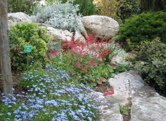 Fonds d'cran Nature Parterre de fleurs