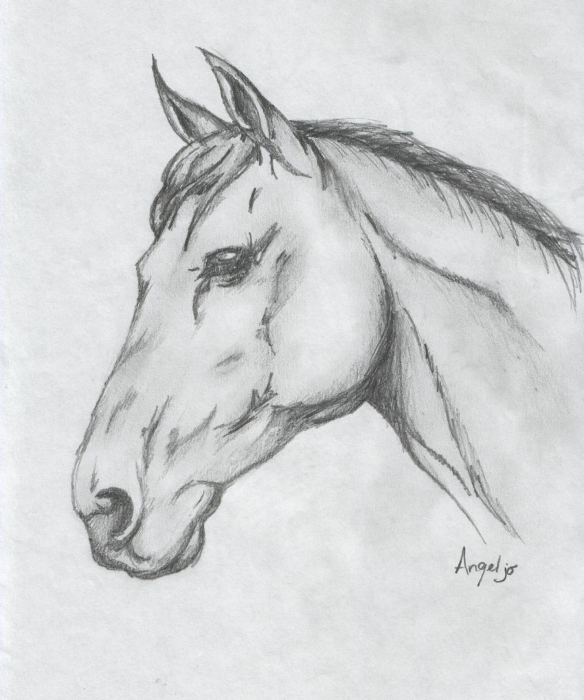 Wallpapers Art - Pencil Animals - Horses 