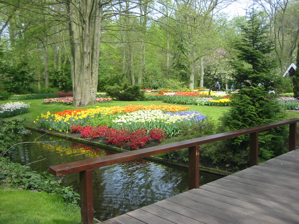 Wallpapers Nature Parks - Gardens Parc floral à Keukenhof (Hollande)