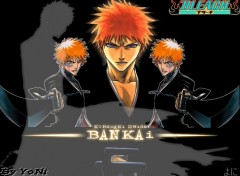 Fonds d'cran Manga Bankai