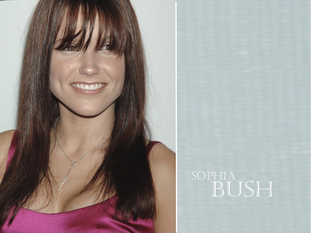 Fonds d'cran Clbrits Femme Sophia Bush 