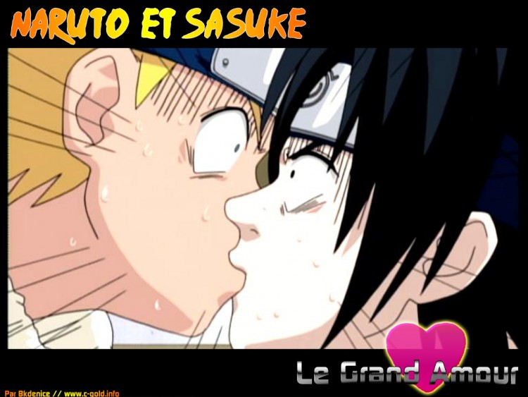 Fonds d'cran Manga Naruto LE Grand Amour