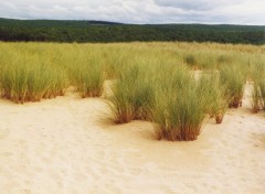 Wallpapers Nature La dune