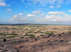 Fonds d'cran Voyages : Afrique les plaines aride de l'ambosseli