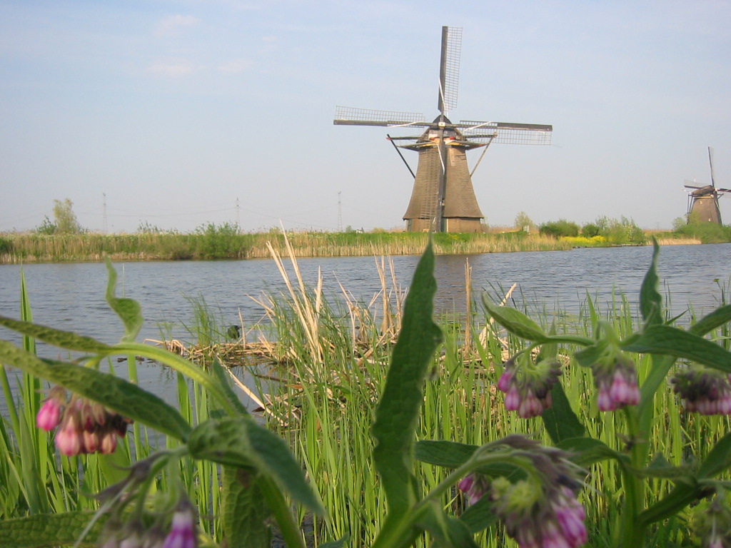 Fonds d'cran Voyages : Europe Pays-Bas Moulin  Kinderdjik (Hollande) (4)