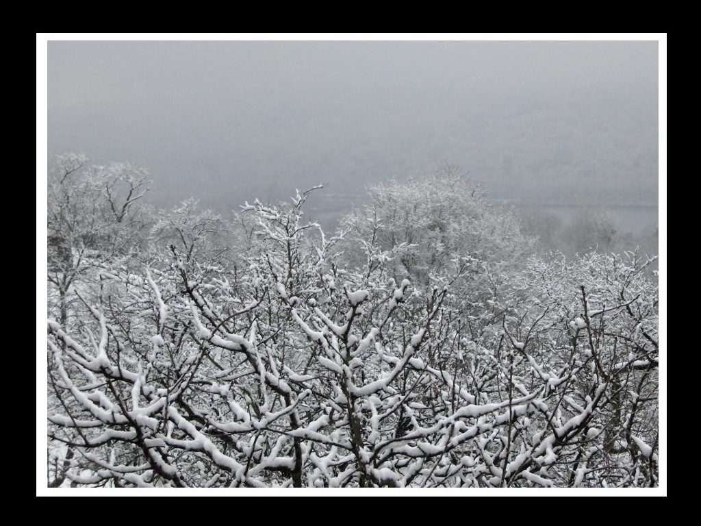 Fonds d'cran Nature Saisons - Hiver Hiver Lorrain