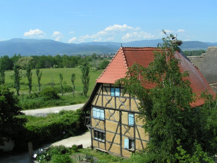 Fonds d'cran Voyages : Europe France > Alsace Maison alsacienne et plaine d'Alsace