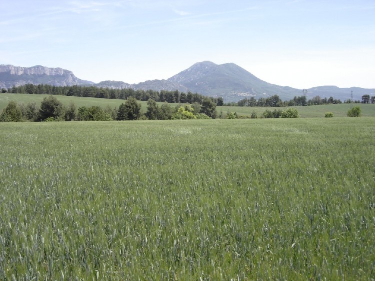 Fonds d'cran Voyages : Europe France > Provence-Alpes-Cte d'Azur Ballades en vues