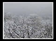 Wallpapers Nature Hiver Lorrain