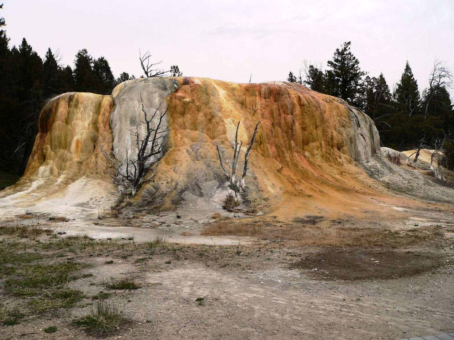 Wallpapers Trips : North America United-States Mammoth Hot Springs