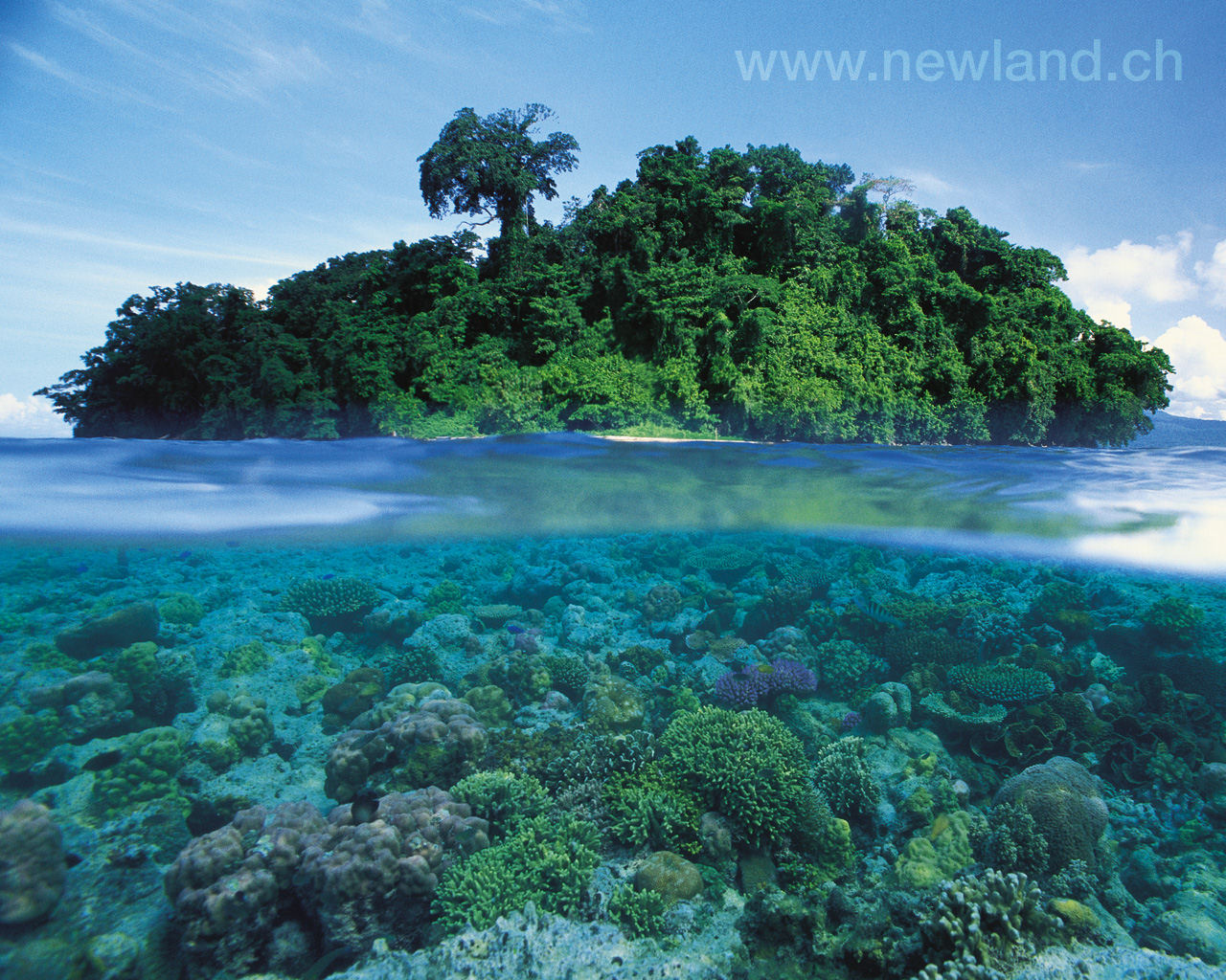 Fonds d'cran Nature Mers - Ocans - Plages 