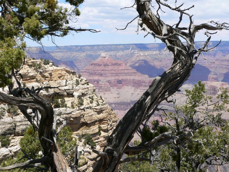 Fonds d'cran Voyages : Amrique du nord Etats-Unis Grand Canyon