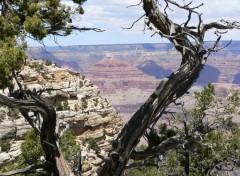 Fonds d'cran Voyages : Amrique du nord Grand Canyon