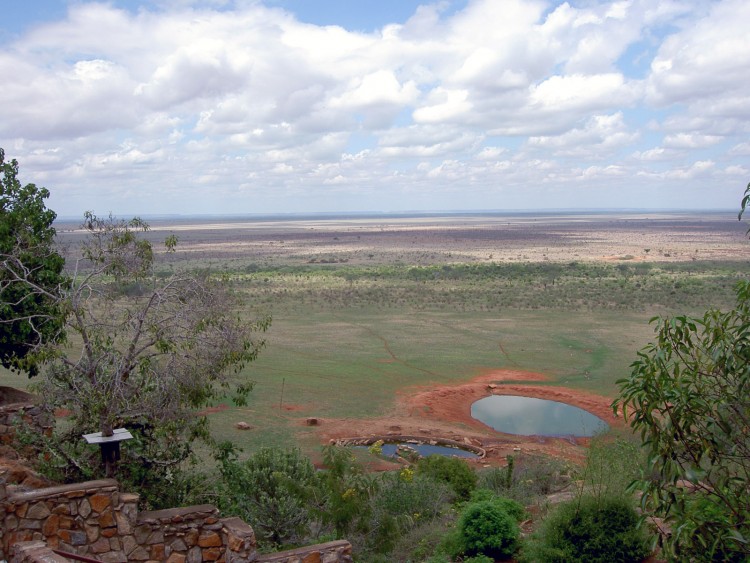 Fonds d'cran Voyages : Afrique Kenya bar a elephant