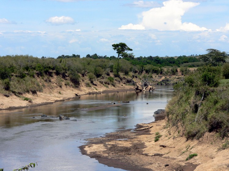 Fonds d'cran Voyages : Afrique Kenya la riviere mara